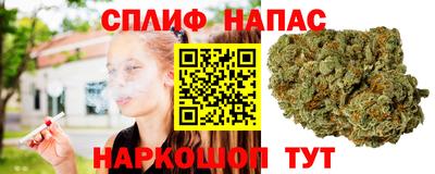 эйфоретик Будённовск