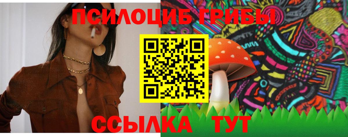 Северск  Псилоцибиновые грибы Cubensis  Вход с VPN 